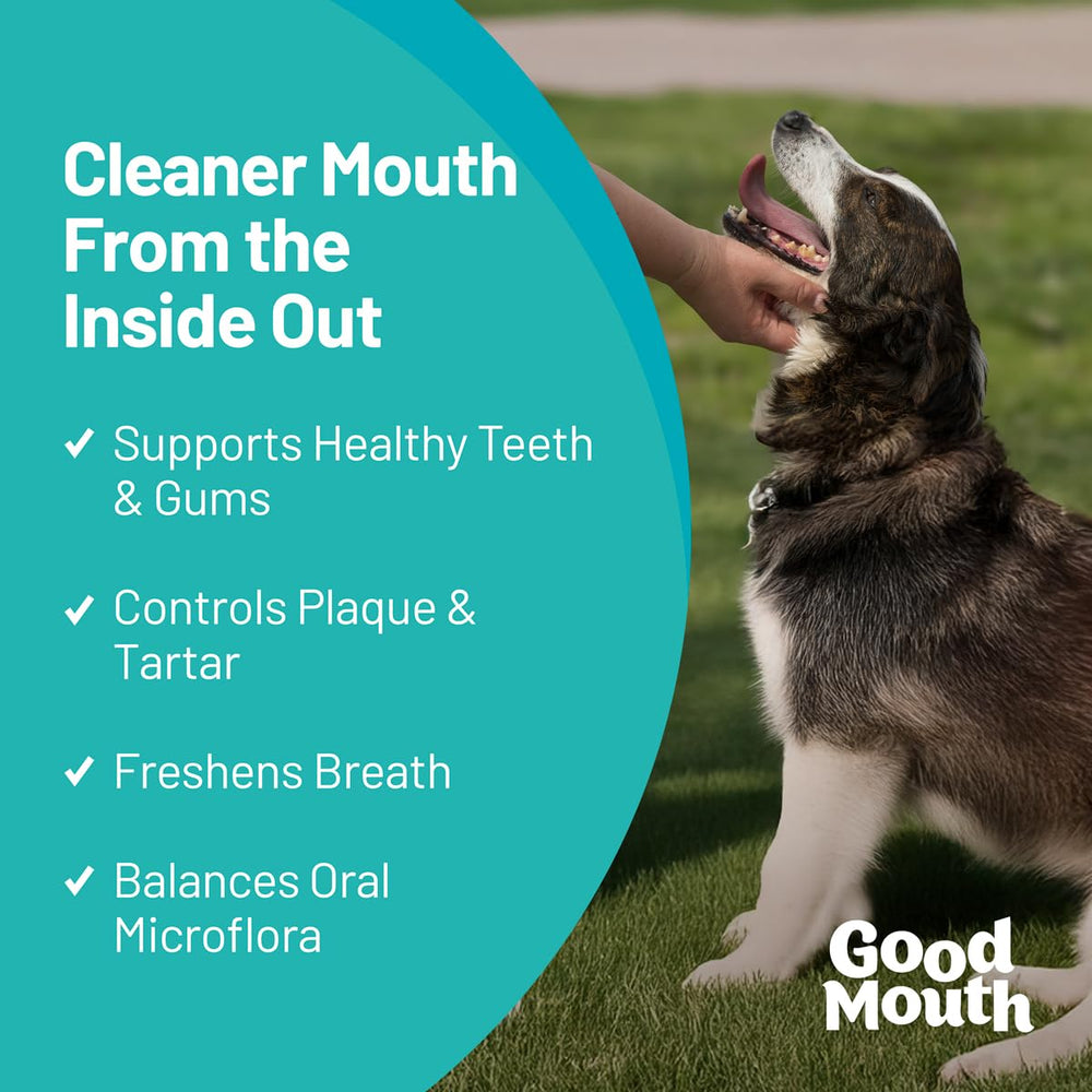 Good Mouth Chews cheeseburger flavor dog chew engages taste while supporting oral care.