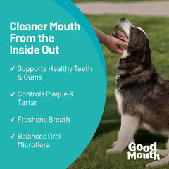 Good Mouth Chews cheeseburger flavor dog chew engages taste while supporting oral care.