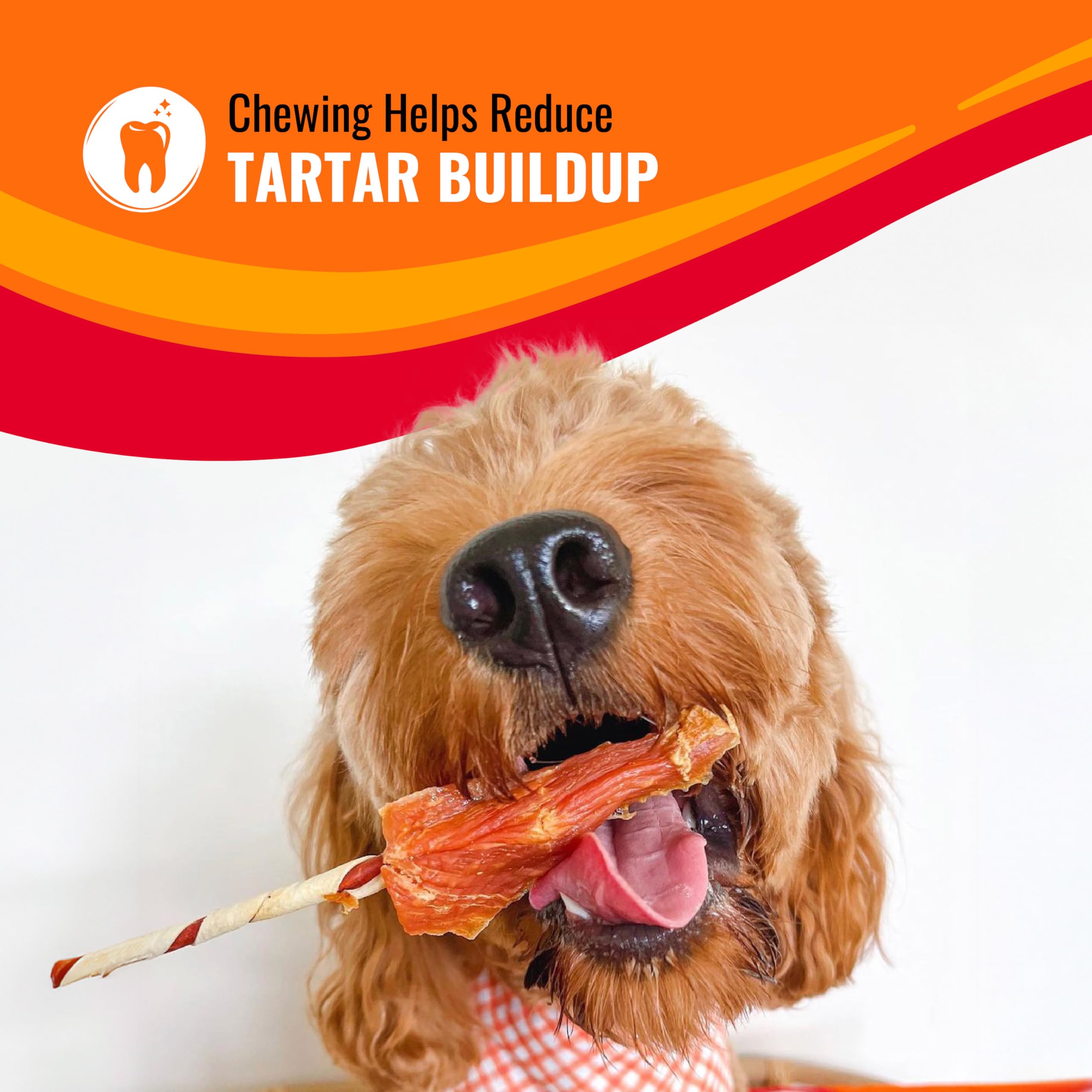 Good'n'Fun Kabobs: masticación natural ayuda a la placa dental