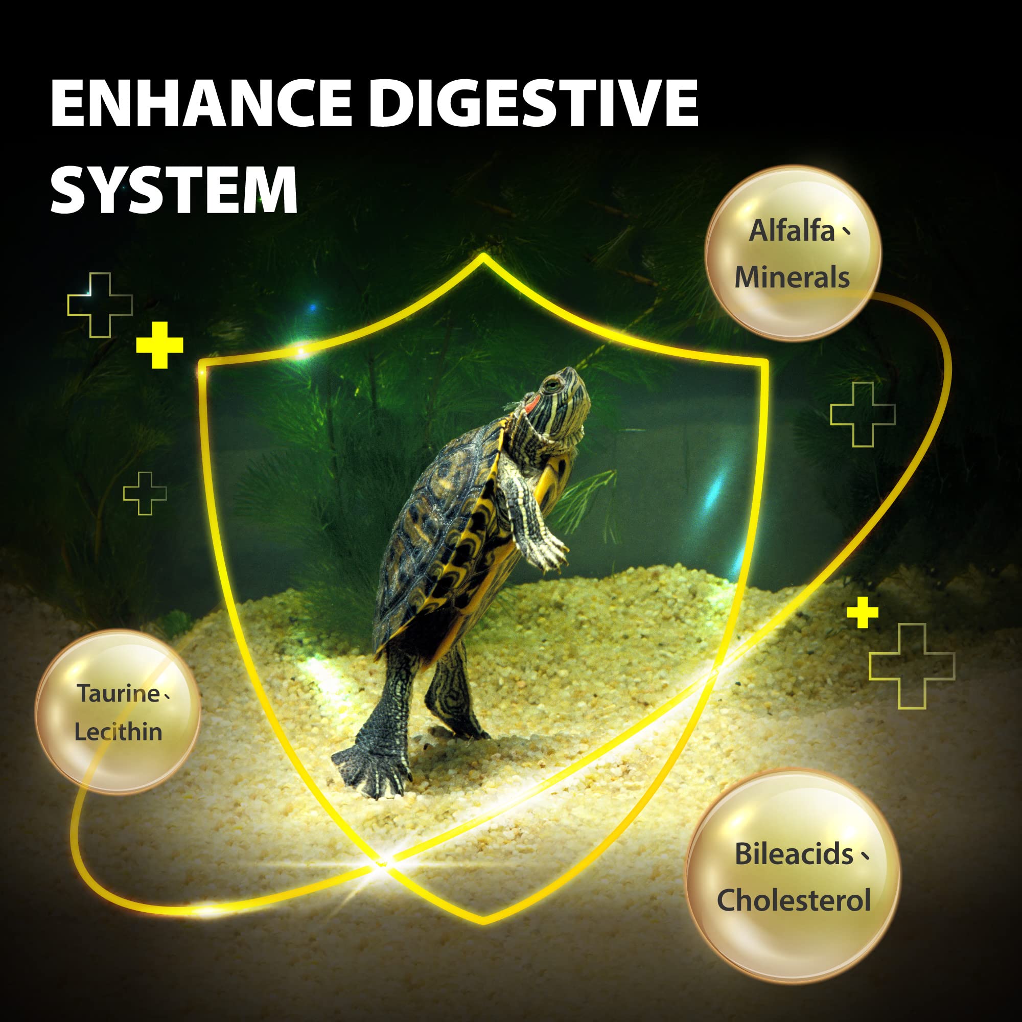 GOOD PARTNER Purify high-protein formula appealing to picky turtles.