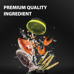 GOOD PARTNER Purify shell-health turtle food bowl demonstrates glossy shell support.