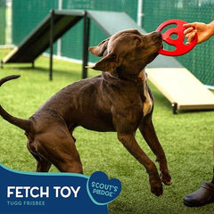 Good Scout Scout Tugg Frisbee tug-and-chew toy for medium and large dogs.