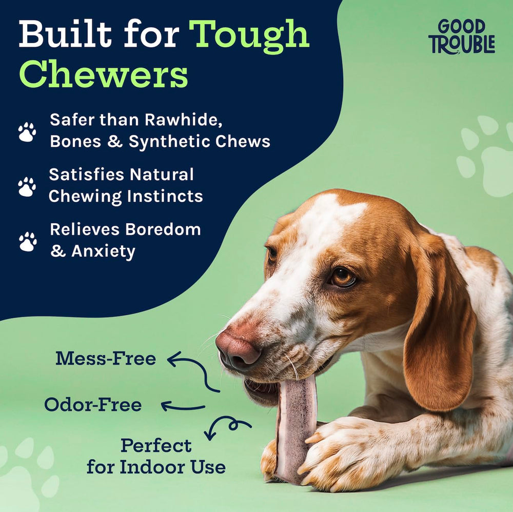 Good Trouble elk antlers for aggressive chewers show split and whole options for durability.
