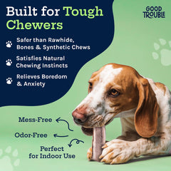 Good Trouble elk antlers for aggressive chewers show split and whole options for durability.