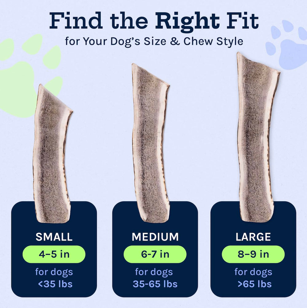 Good Trouble elk antlers cruelty-free material with no rawhide.