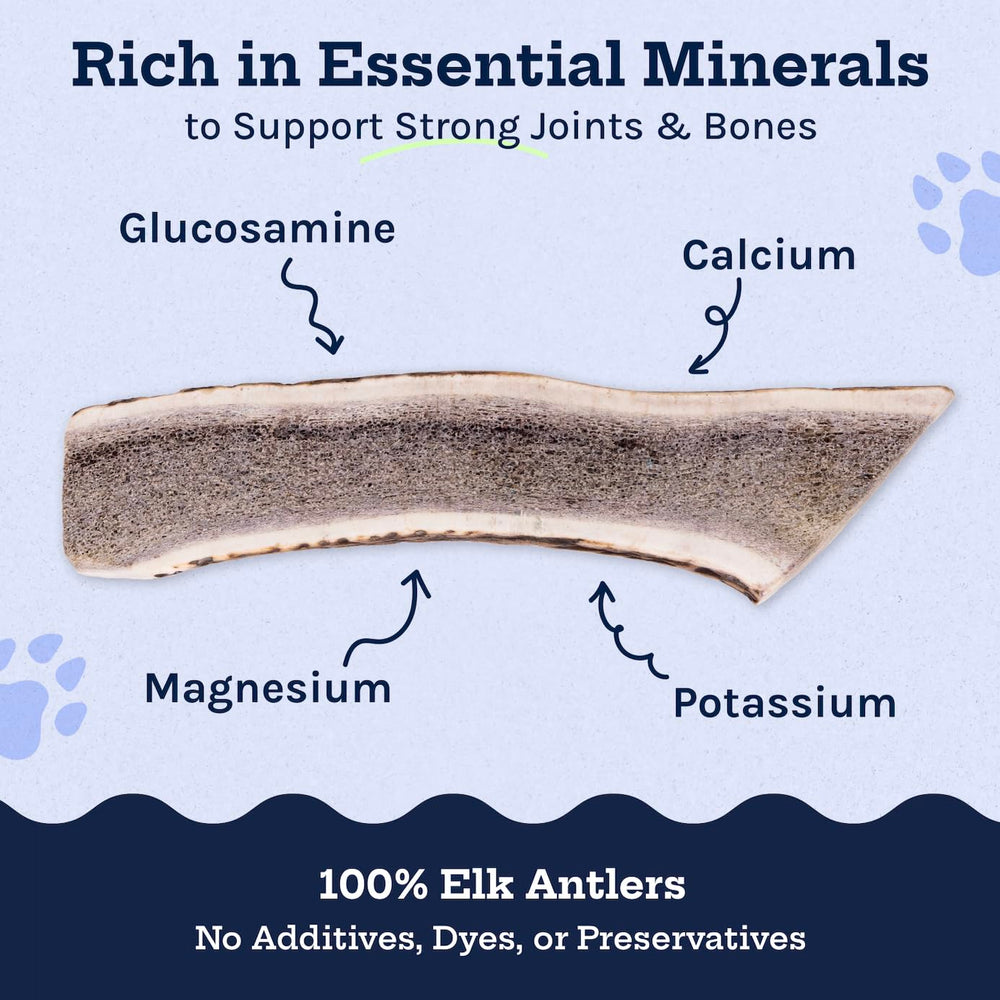 Good Trouble elk antlers provide stress-relief chewing ritual for dogs.