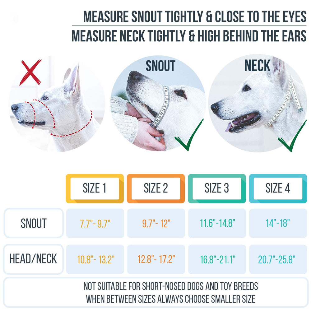 GoodBoy head halter measurement guide shows how to achieve proper fit