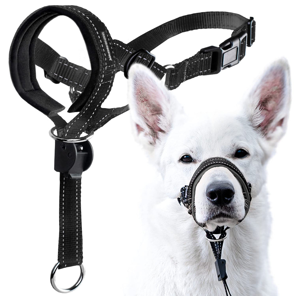 GoodBoy head halter overview demonstrates comfortable no-pull walking concept
