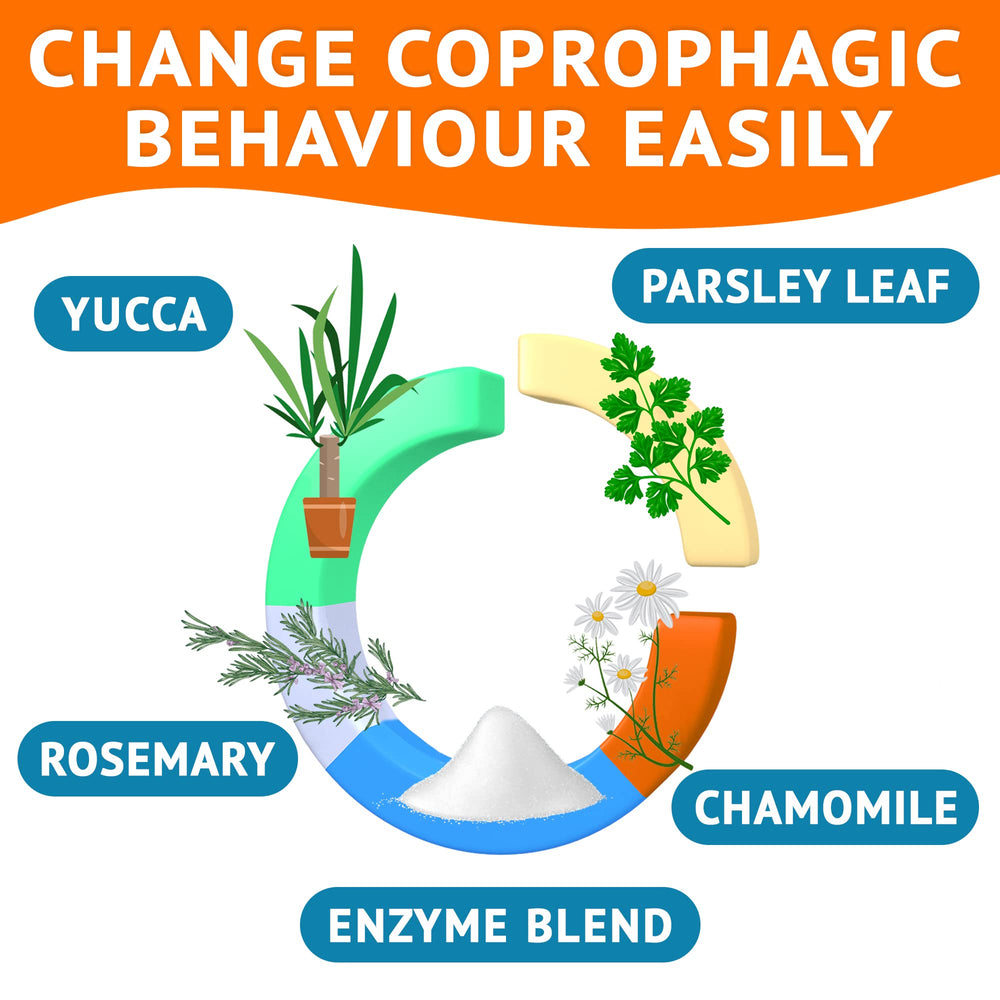 GOODGROWLIES breath-freshening scene with parsley and chamomile notes.