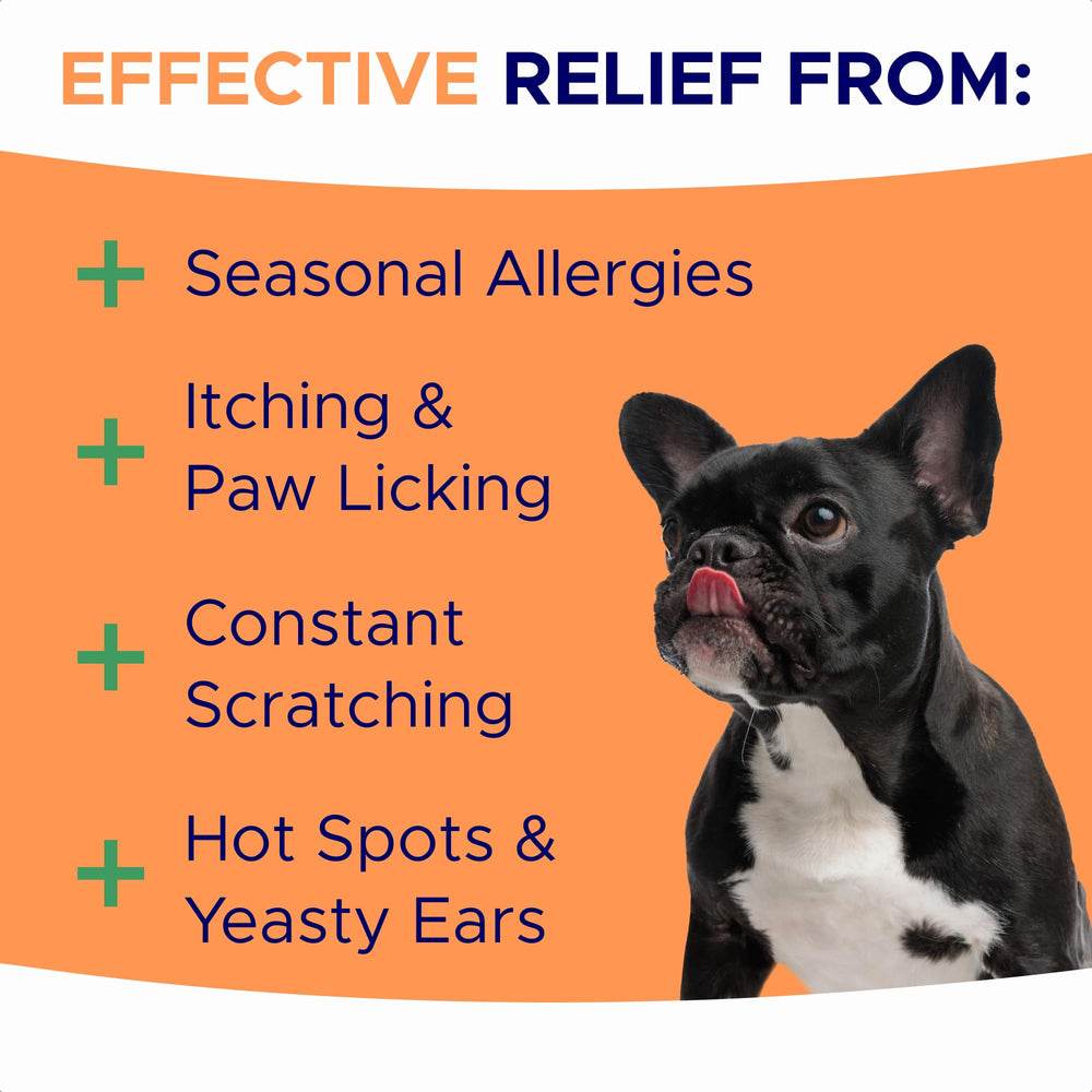 GoodGrowlies dog allergy chews bottle closeup showcases premium soft chews for easy serving.