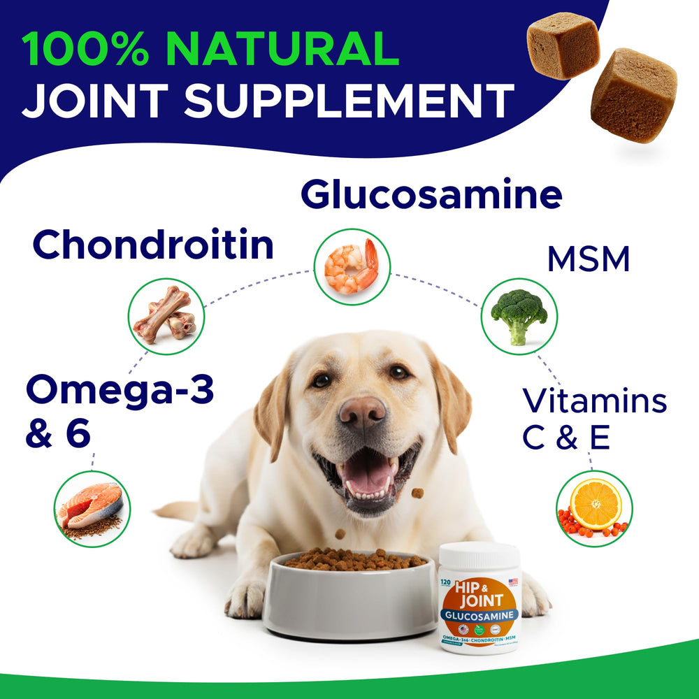 GOODGROWLIES glucosamine dog chews in mouth demonstrates tasty no-pill joint care