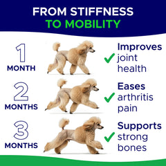GOODGROWLIES glucosamine dog large-breed running demonstrates improved mobility