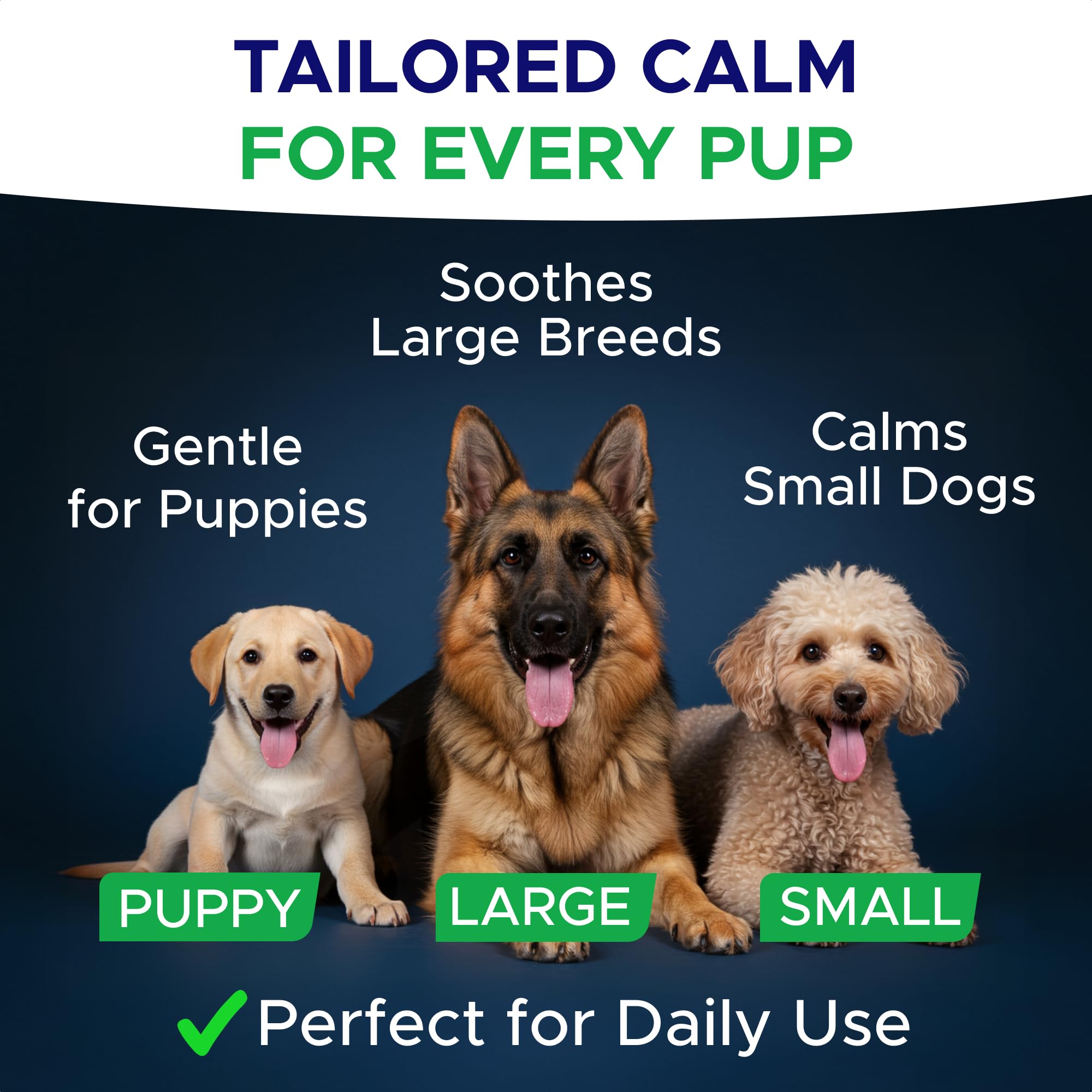 GOODGROWLIES melatonin dog treats dog bed scene emphasizes relief from nervous energy.