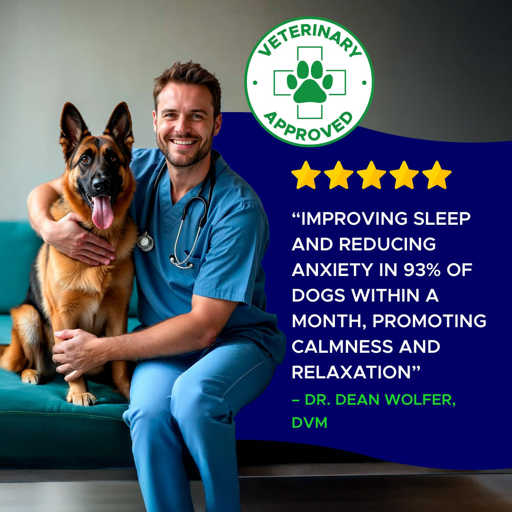 GOODGROWLIES melatonin dog treats in hand suggests convenient chewable sleep aid for pets.