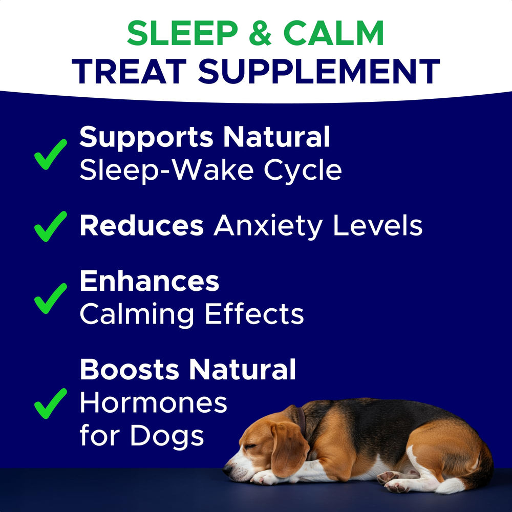 GOODGROWLIES melatonin dog treats serving dish demonstrates a simple nightly routine with soothing chews.