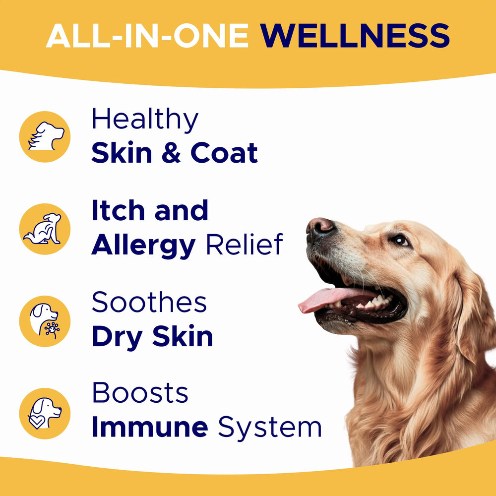GOODGROWLIES Omega 3 dog chews close-up shows bite-sized salmon oil bites for itchy skin relief.