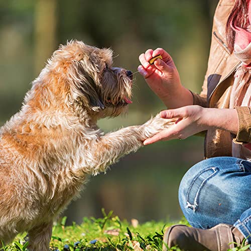 Good'n'Fun Serving Bowl Rollups shows multiple chews ready to share.