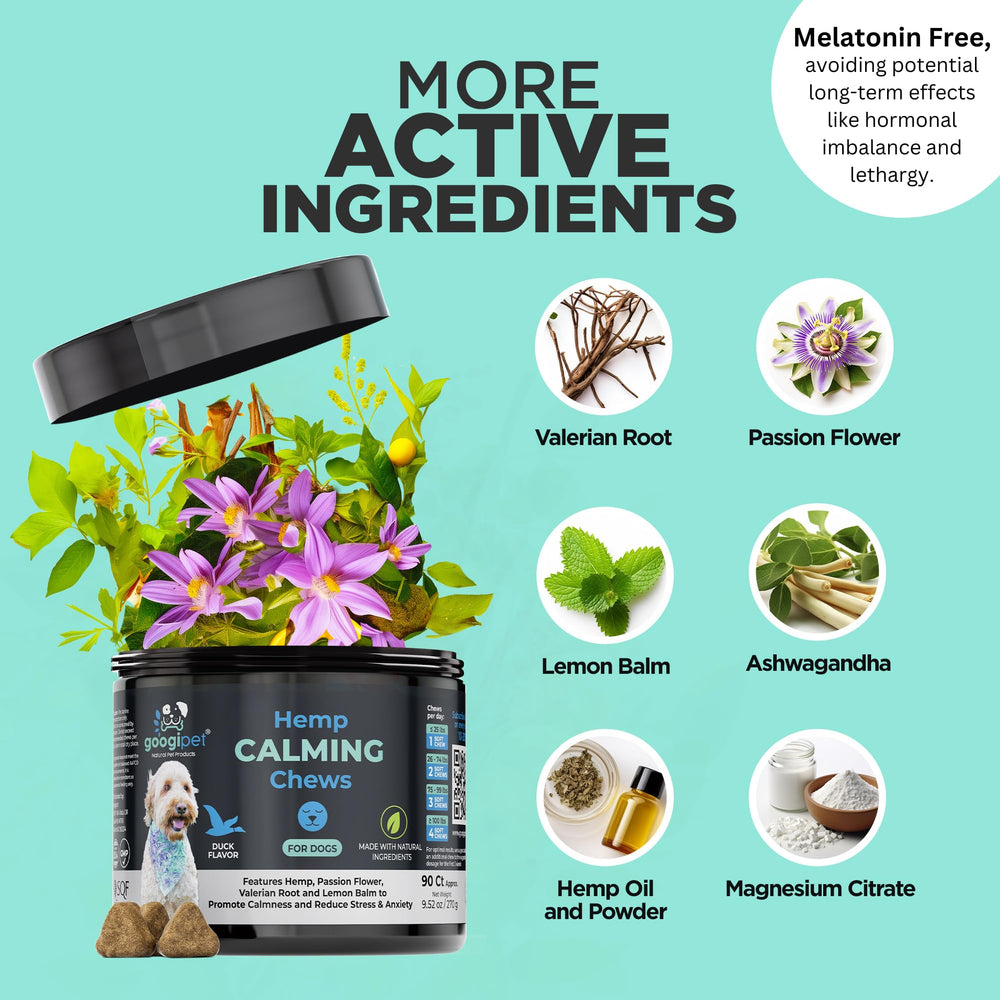 Googipet Daily Hemp Calming Chews dog-eating scene signals tasty anxiety relief.