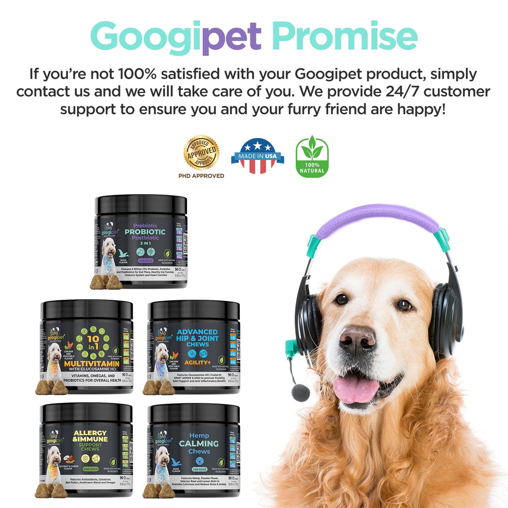 Googipet Probiotics subscription promo graphic conveys ongoing health support for dogs.