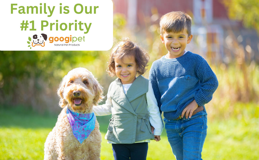 Googipet Probiotics all-ages use scene signals suitability for puppies and seniors.
