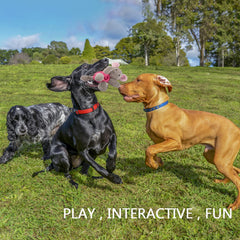 GOOLA dog squeaky toy ears with crinkle paper adds textural fun and bite interest