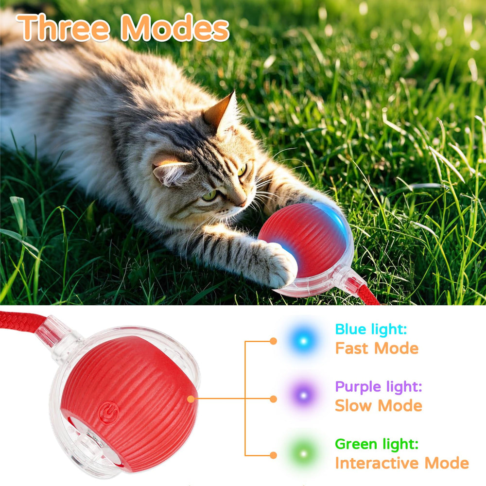 Goosheep 2-pack cat balls in action rolling to spark feline curiosity.