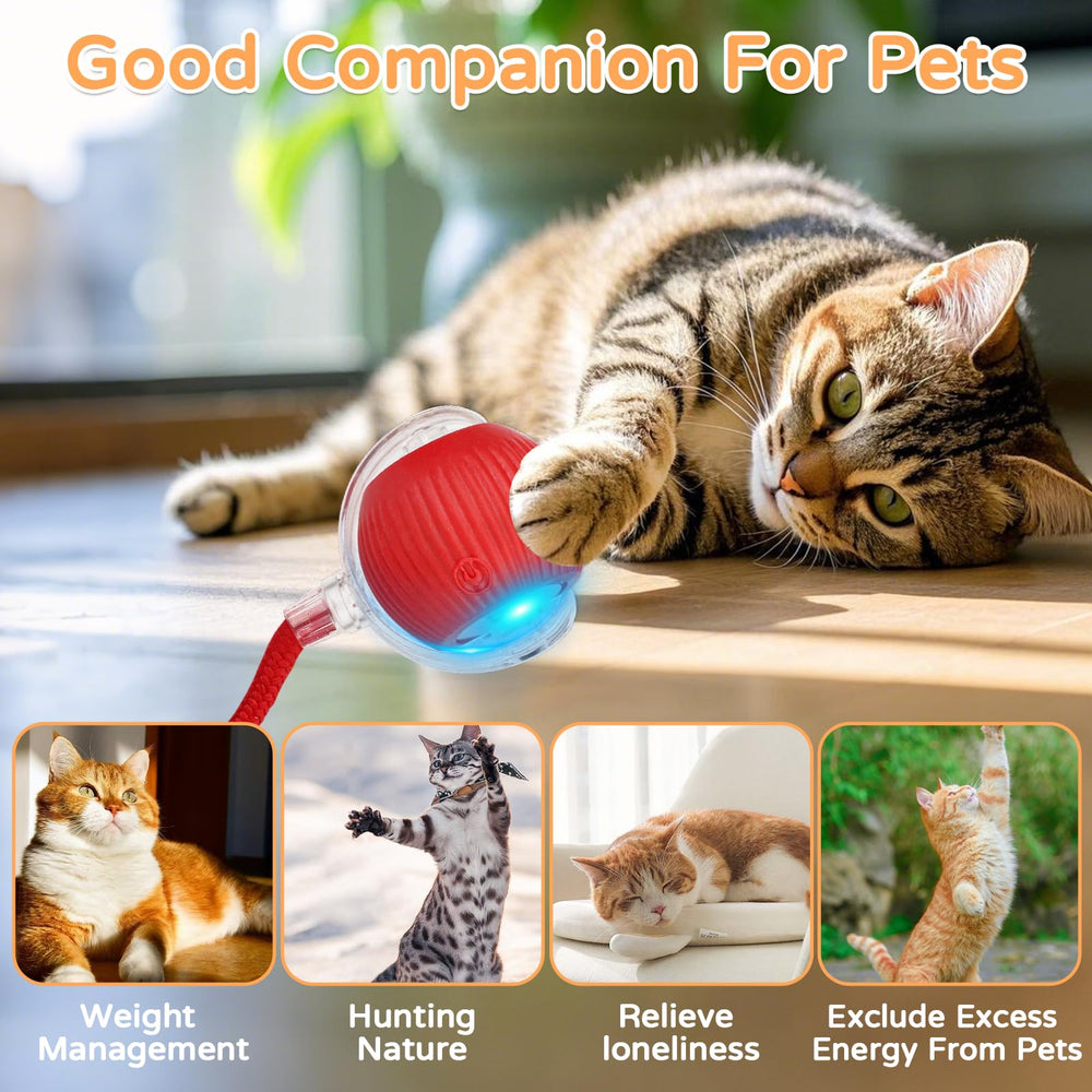 Goosheep cat ball 2-pack packaging shows gift-ready option.