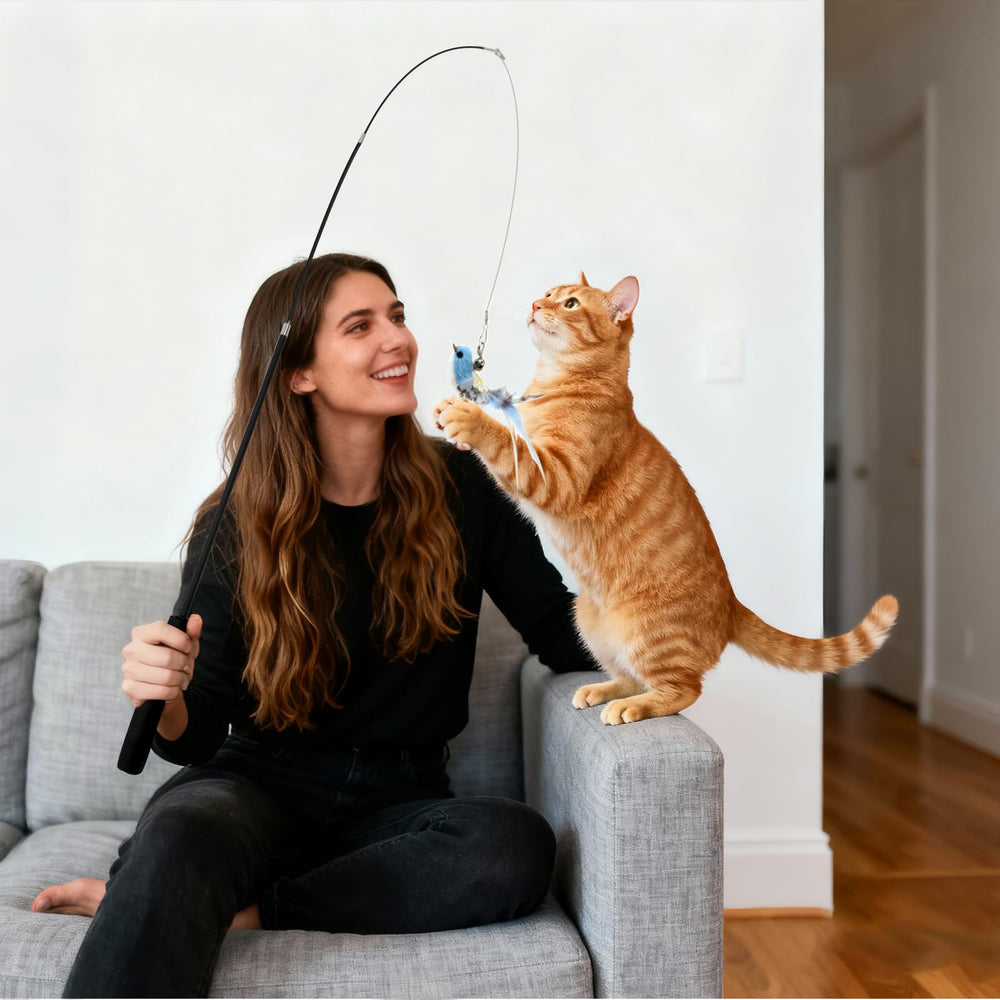 Goosheep cat wand toy indoor-use setup promotes bonding and activity.