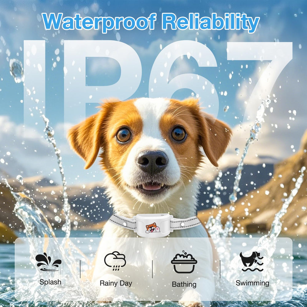 GooSmleye waterproof collar worn by dog during outdoor activity.