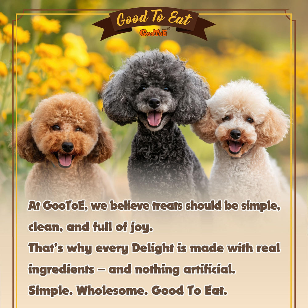 Gootoe Turkey Tendons suitable for medium-dogs, easy-to-digest protein-rich chew.