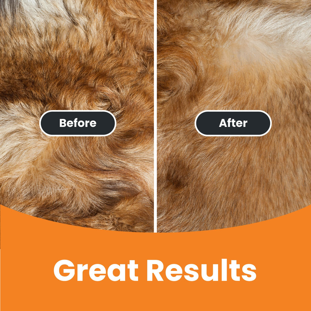 GoPets detangling slicker brush gently detangles mats on dogs and cats.