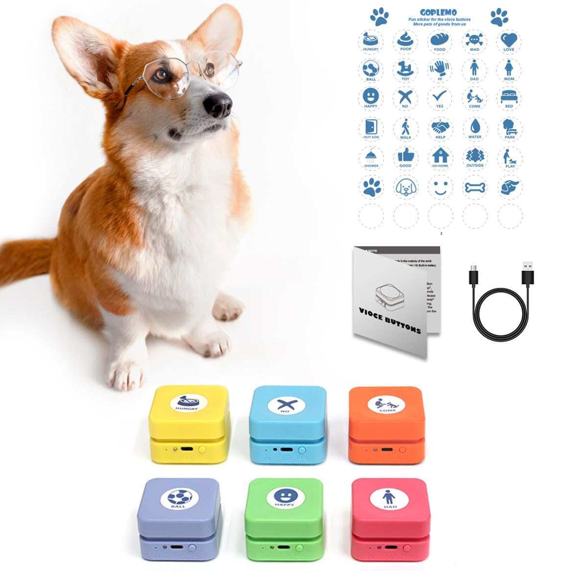 Goplemo training at home scene shows practical use with pets