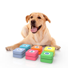Goplemo rechargeable dog buttons starter pack cover showing six color coded buttons for clear communication