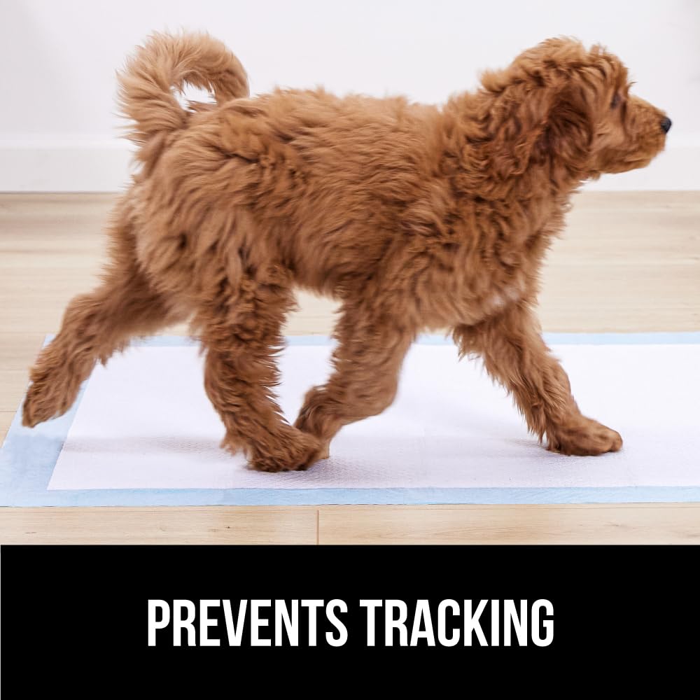 Gorilla Guard 100-pack packaging for convenient supply on hand.