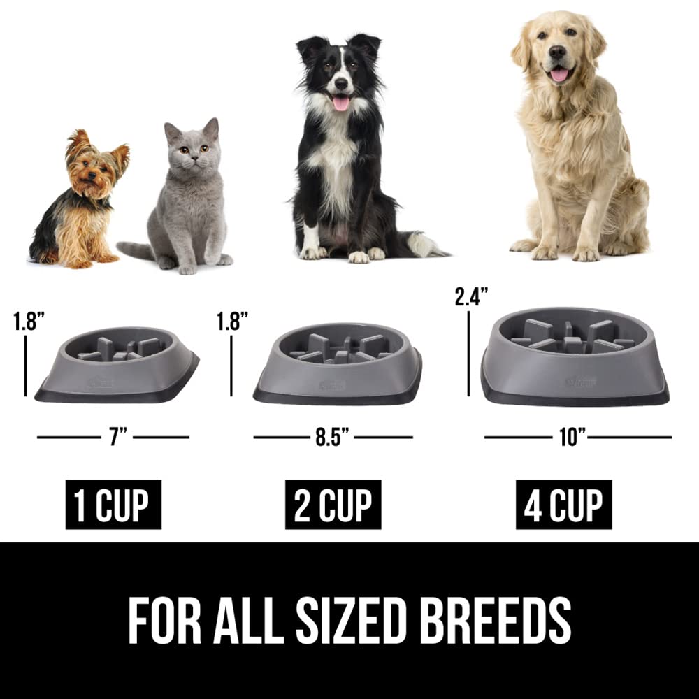 Gorilla Grip slow feeder fits all breeds with multiple size options