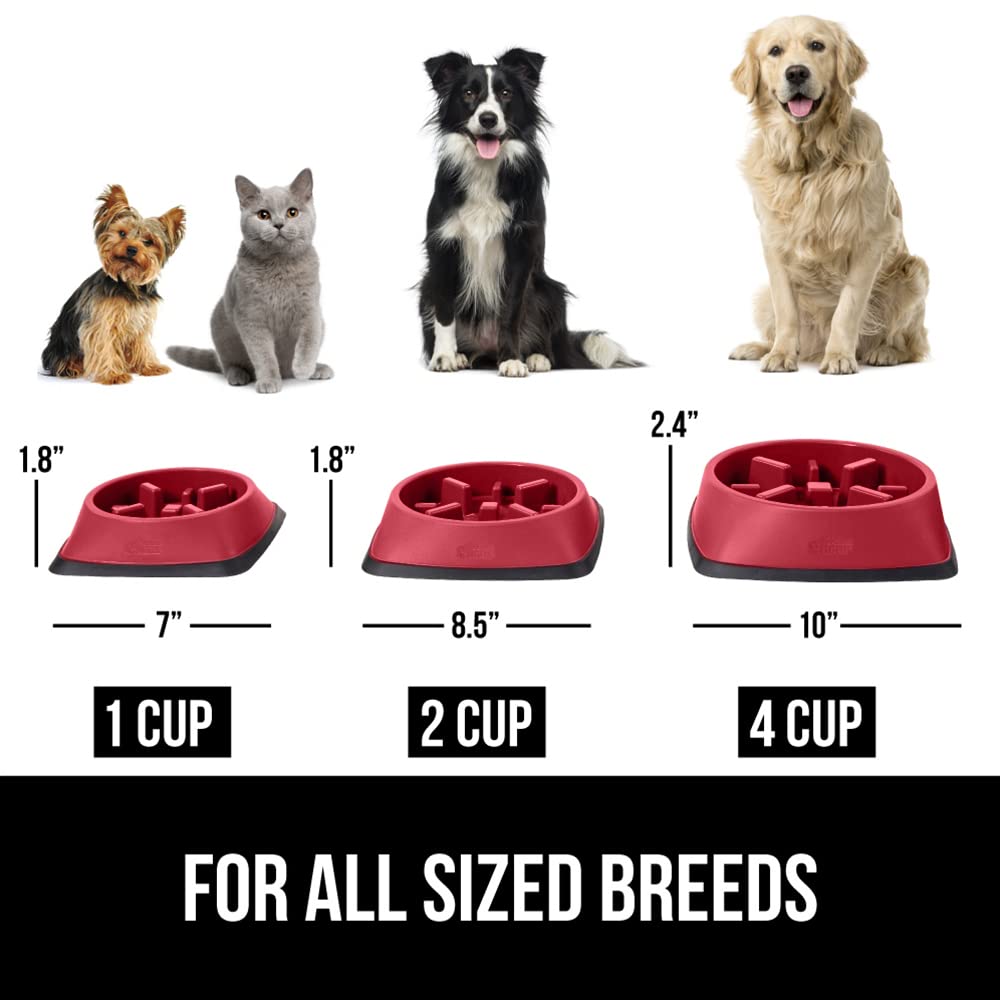 Gorilla Grip slow-feeder bowl compatible with all food types for flexible feeding.
