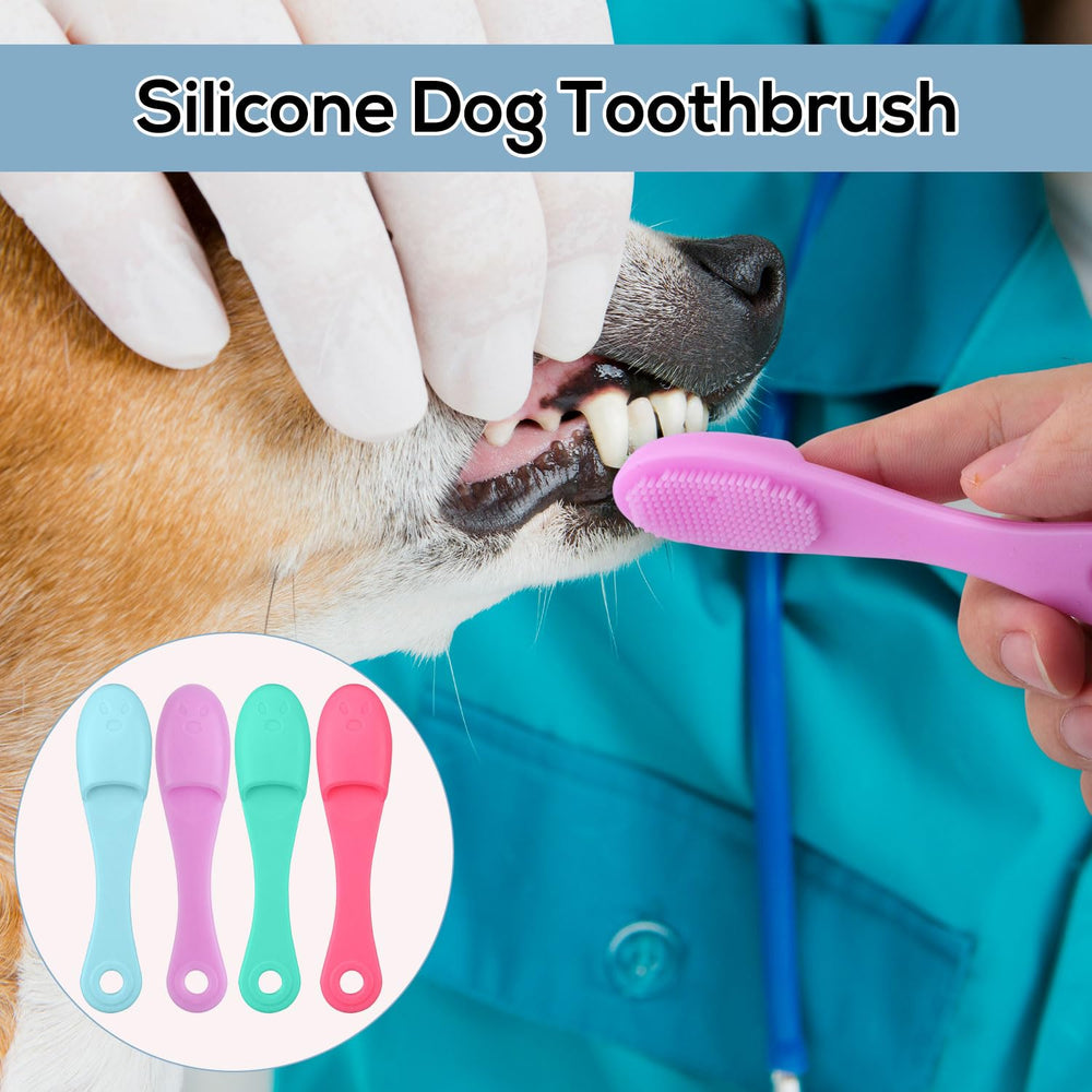 Gosknor four-piece pack highlights color variety for multiple pets