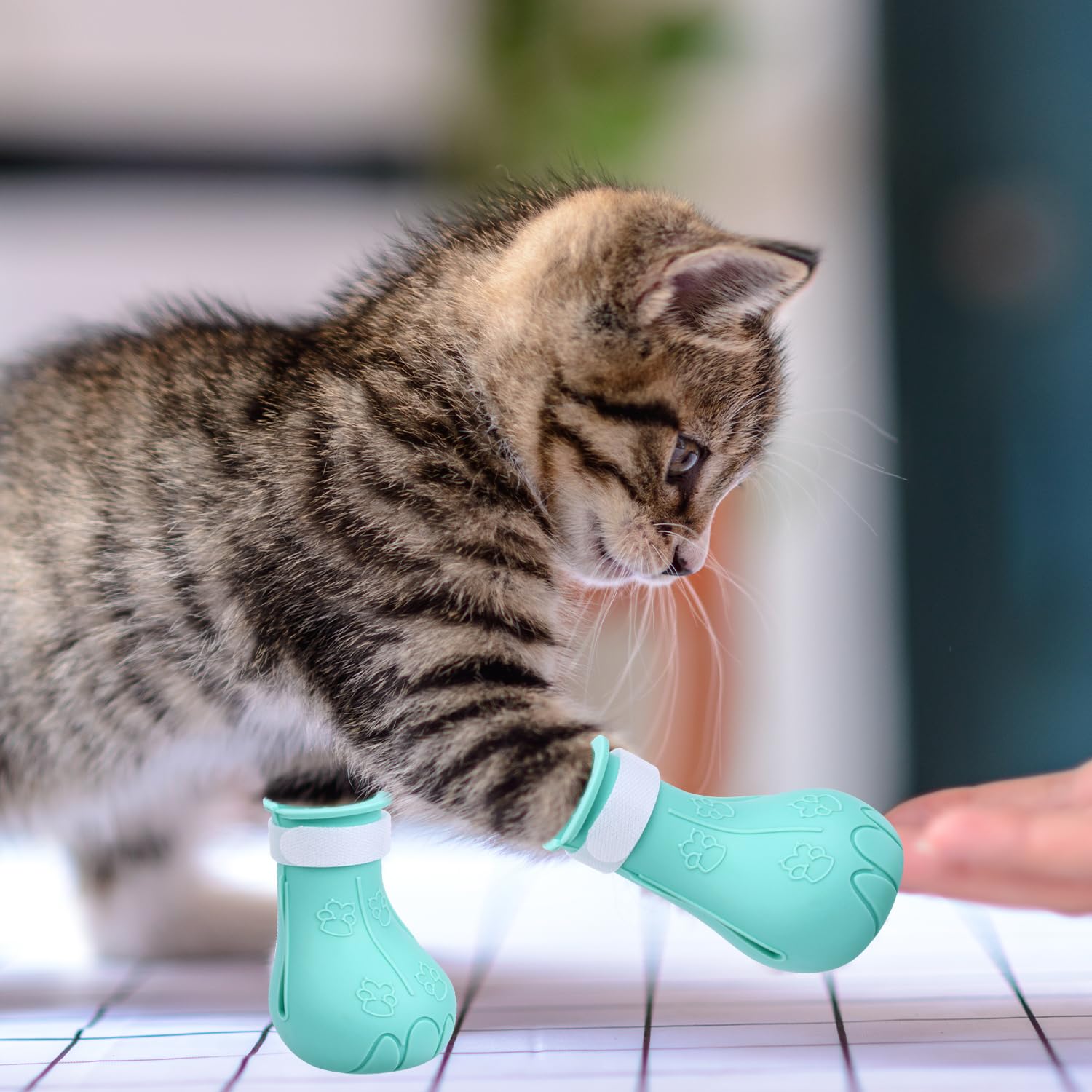 Gosknor silicone cat feet covers aid safe cat checks.