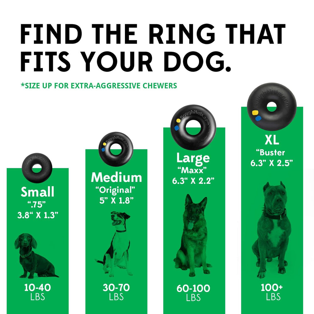 Goughnuts green ring being chewed during play shows sturdy construction