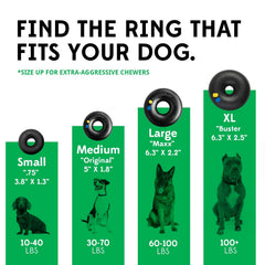Goughnuts green ring being chewed during play shows sturdy construction