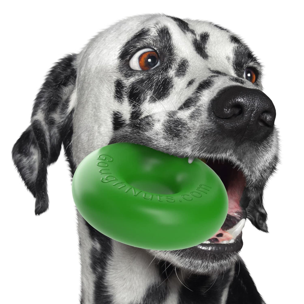 Goughnuts ring 5in green dog toy built for aggressive chewers.