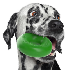 Goughnuts ring 5in green dog toy built for aggressive chewers.