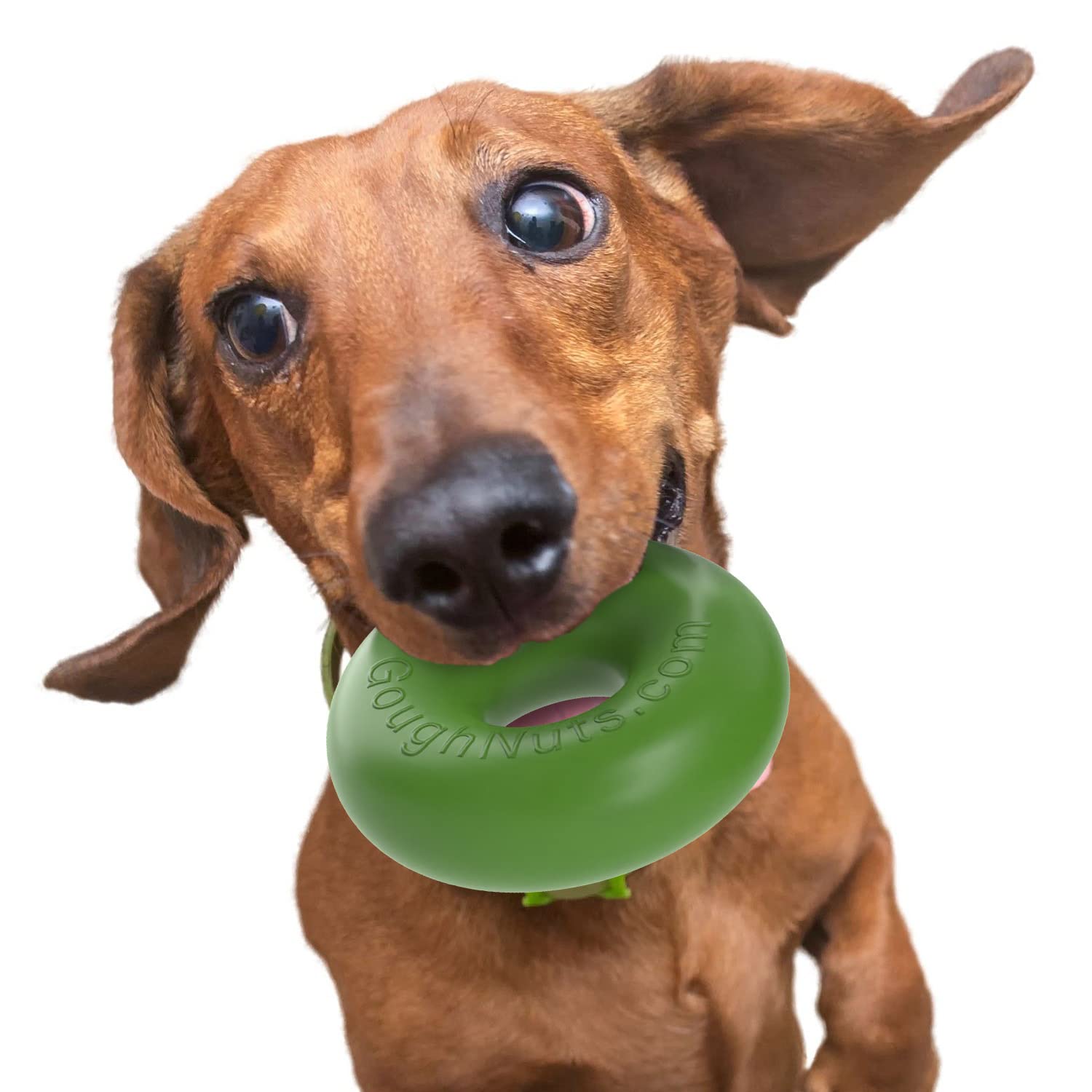 Goughnuts rubber dog chew toy med .75 green ring closeup, showcasing tough rubber for aggressive chewers