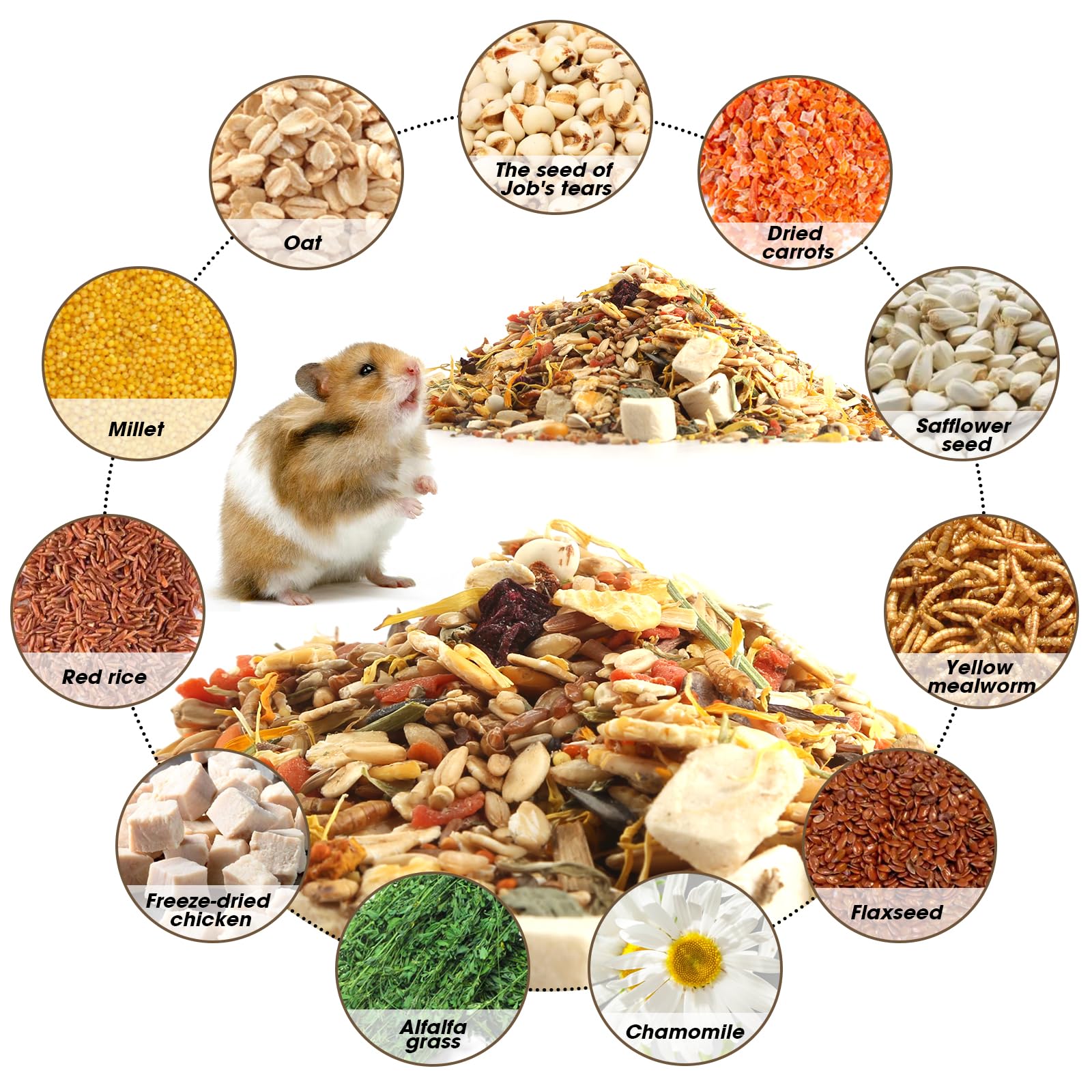 Gourmet Hamster & Gerbil Food ancient grains close-up emphasizes nutrient-rich crunch.