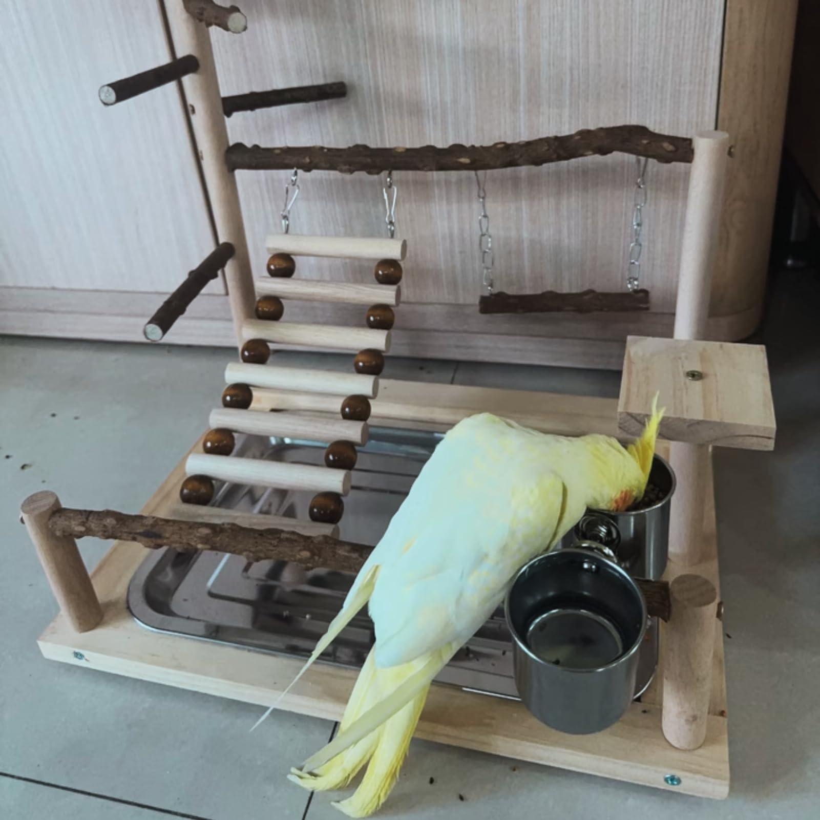 GOVNPJ Bird Playground exercising bird image captures climbing and active movement.