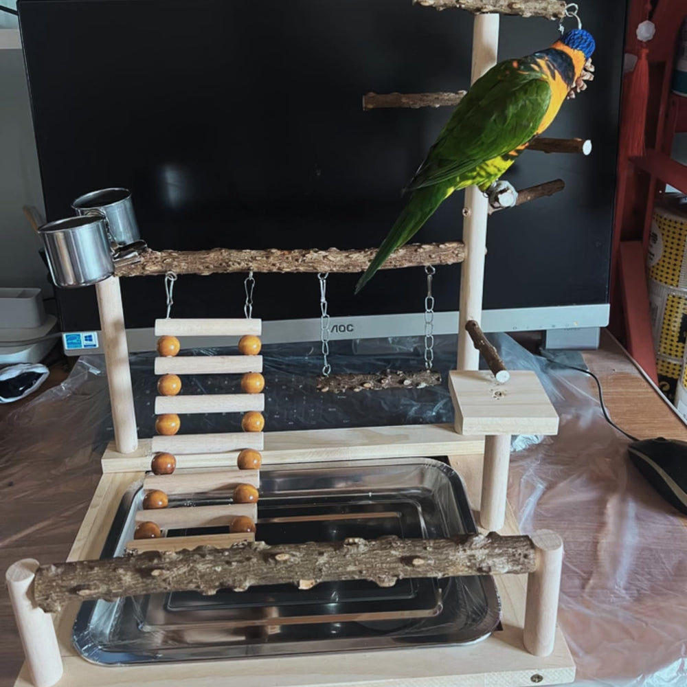 GOVNPJ Bird Playground toy included image showcases engaging enrichment for parrots.