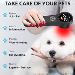 GOVW Cold Laser aimed at a cat for comfort after surgery