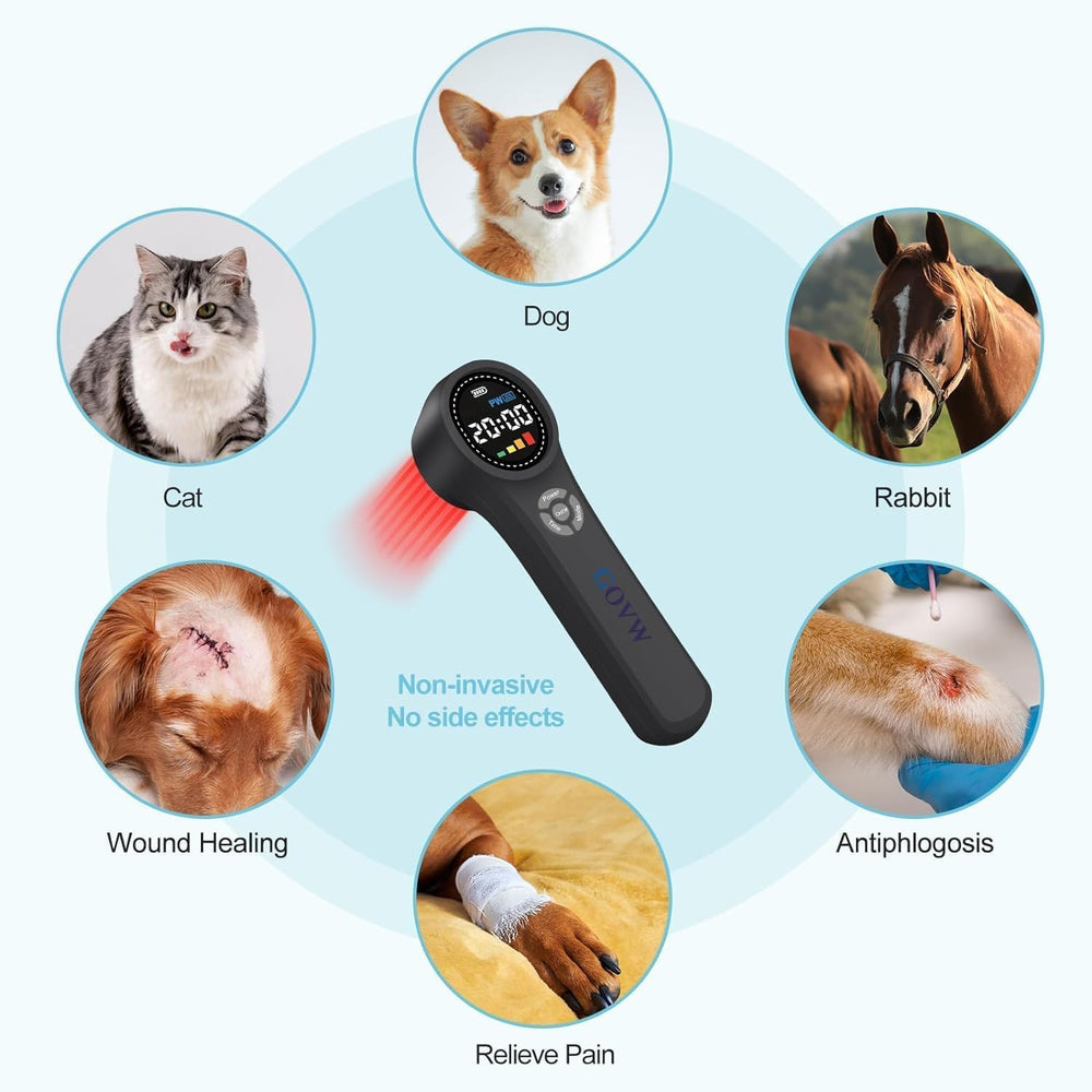 GOVW complete kit includes device, charger, glasses, and manual