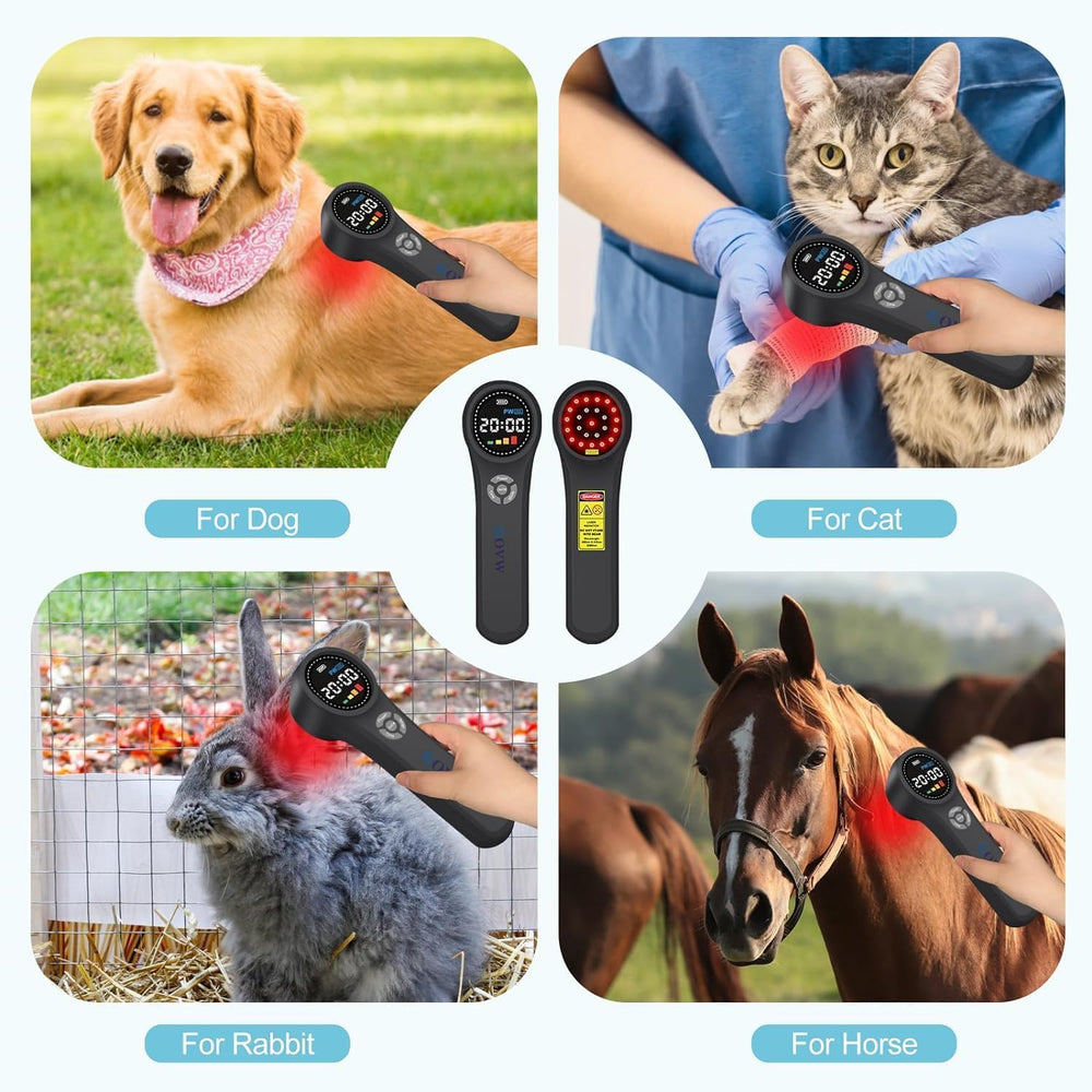 GOVW pet laser used by owners for home vet care