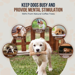 GOWGOW Real Coffee Wood Chew Toy in use—mental stimulation during training sessions.